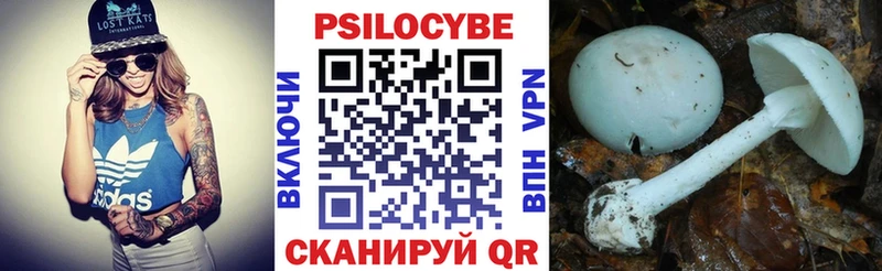 Псилоцибиновые грибы мицелий  где купить   Кириши 